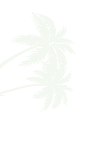 why-choose-tree