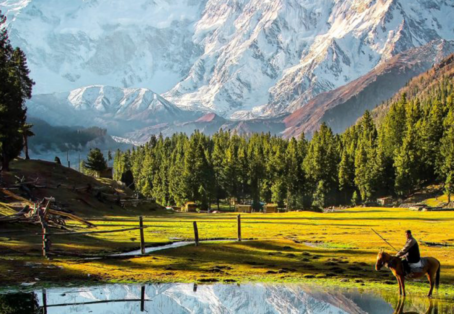Fairy Meadows