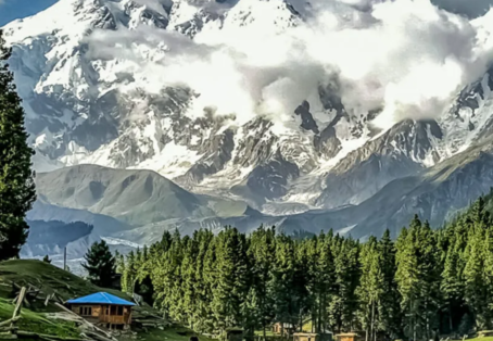 Fairy Meadows